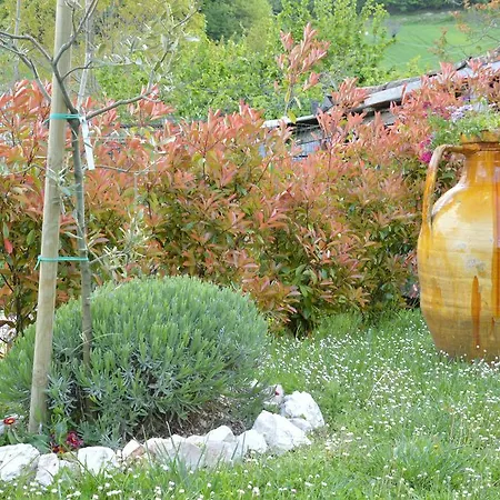 La Palombaia Fabriano
